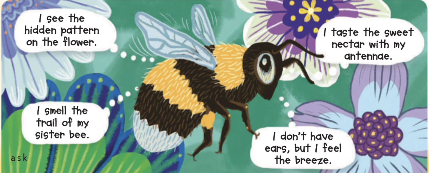 A bumblebee using its senses