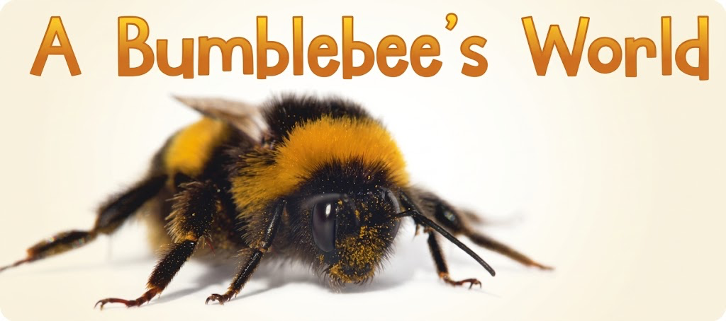 A Bumblebee's World