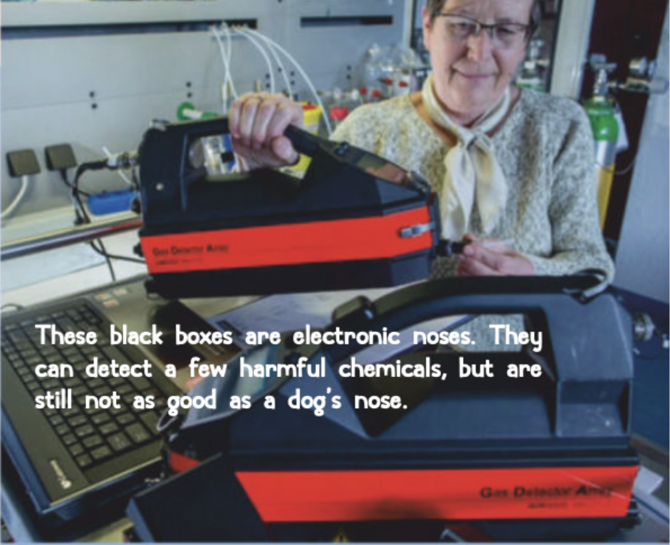 Electronic noses in a laboratory