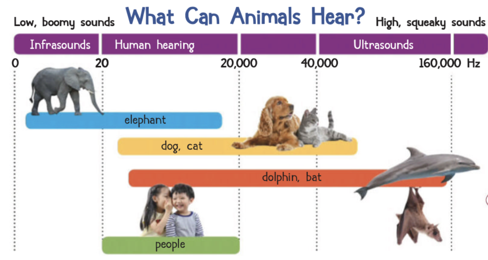 Hearing frequency chart