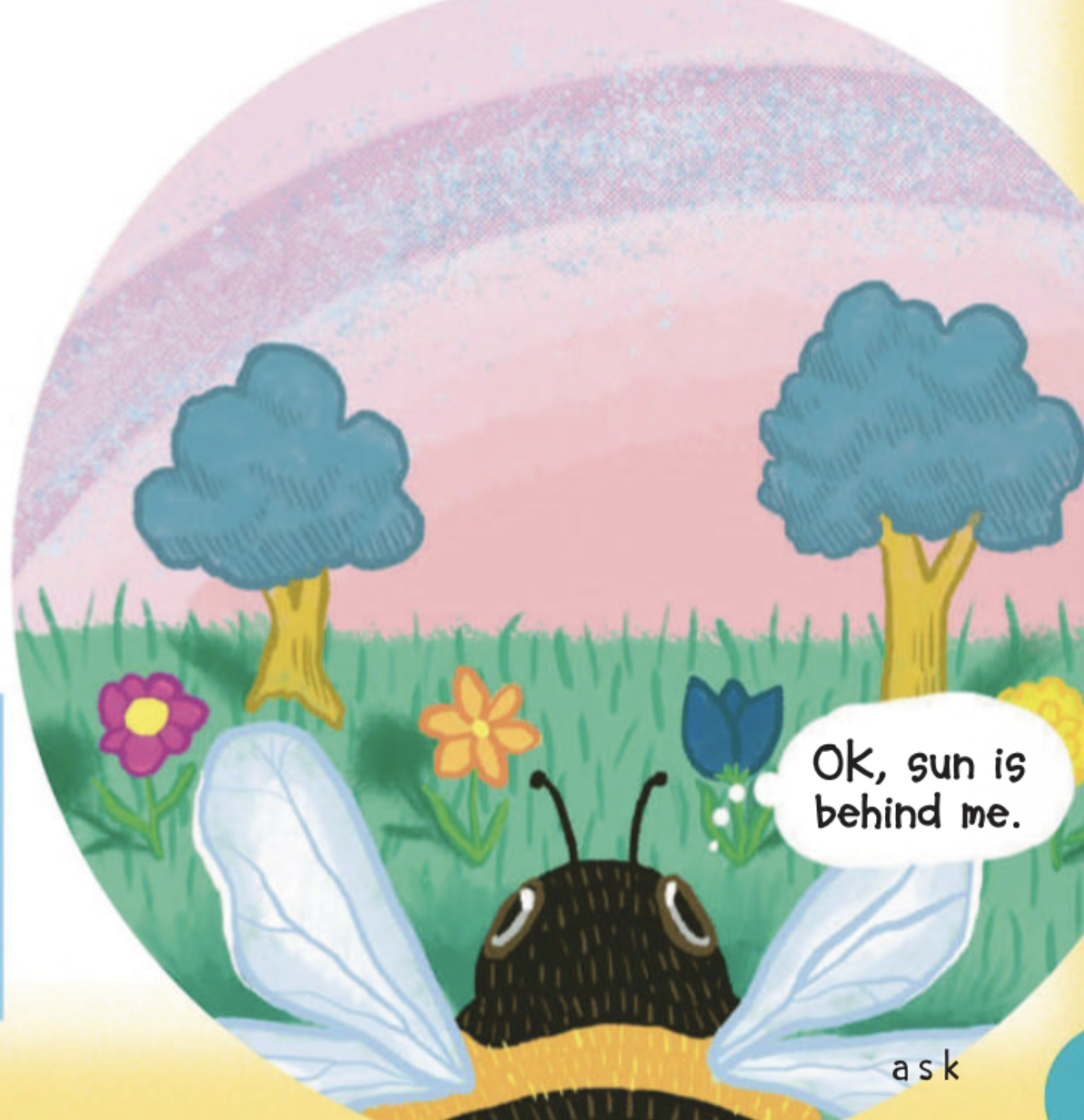 OK, sun is behind me - bee navigating with polarized light