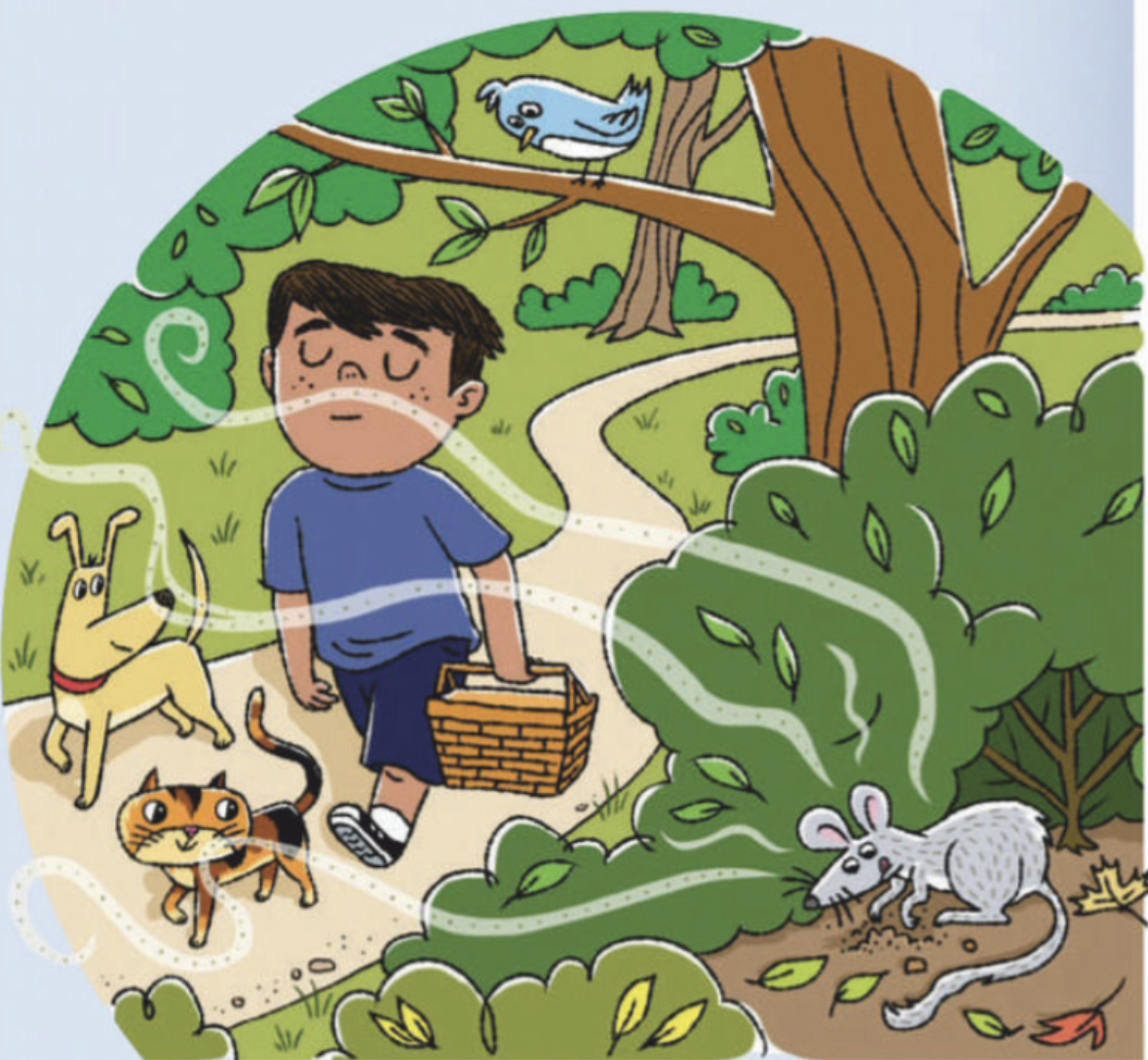 Animals smelling scents in the park
