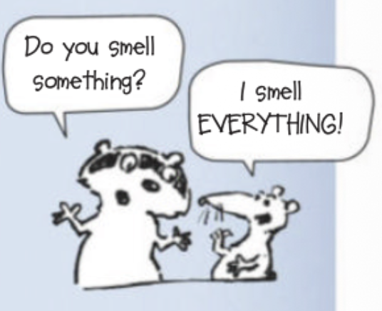 Do you smell something? I smell EVERYTHING!