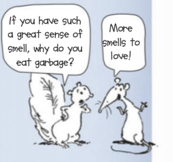 If you have such a great sense of smell, why do you eat garbage? More smells to love!