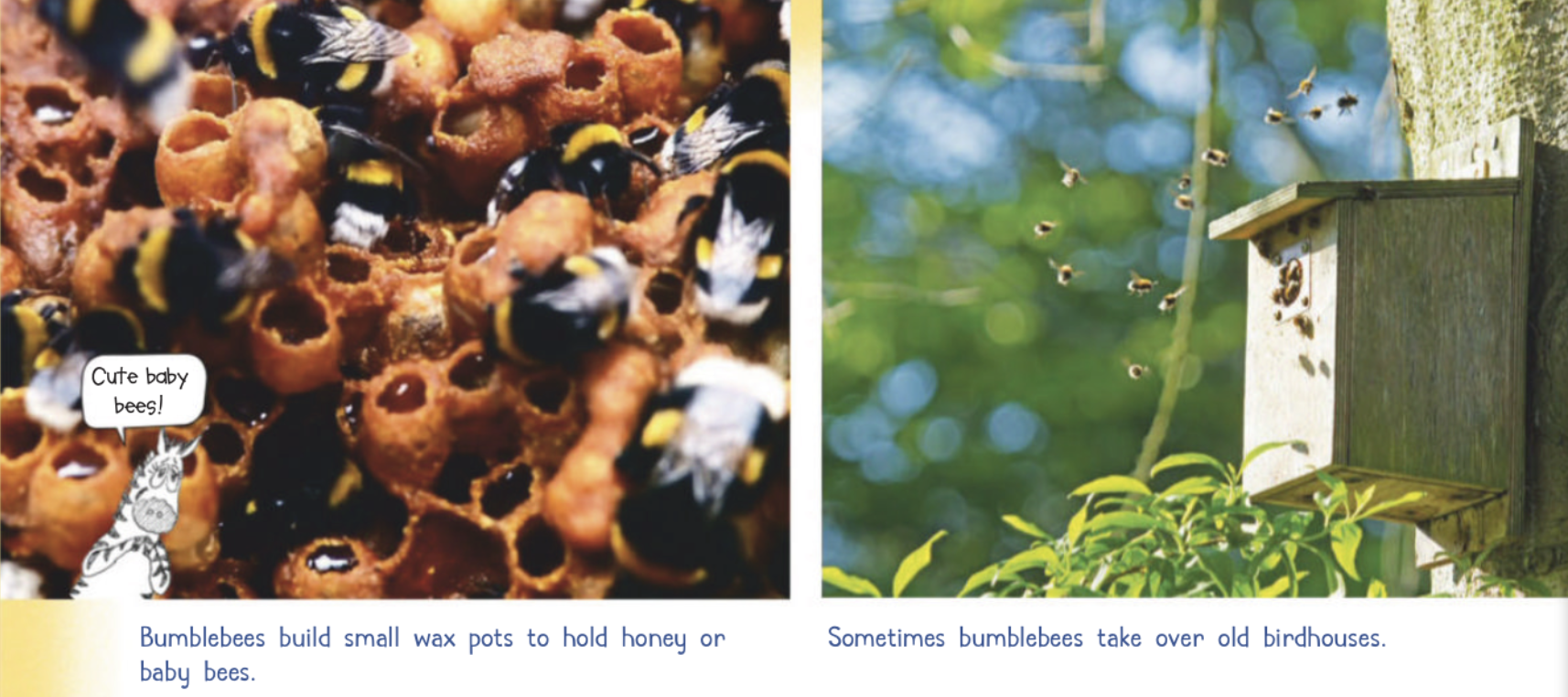 Wax pots with baby bees and a birdhouse with bees